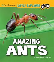 Amazing ants : a 4D book cover image