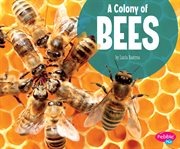 A colony of bees cover image