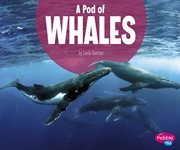 A pod of whales cover image