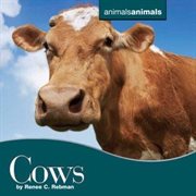 Cows cover image