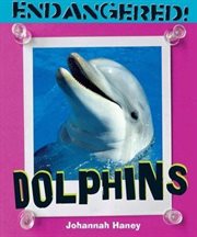 Dolphins cover image