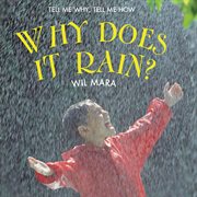 Why Does it Rain? cover image