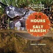 24 hours in a salt marsh cover image