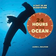 24 hours in the ocean cover image
