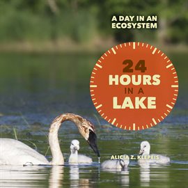 Cover image for 24 Hours in a Lake