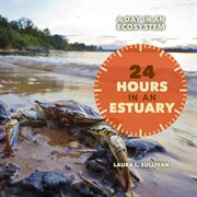 24 hours in an estuary cover image