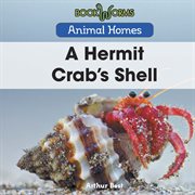 A hermit crab's shell cover image