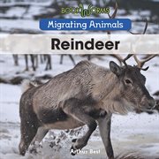 Reindeer cover image
