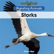 Storks cover image