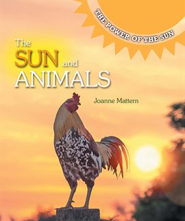 Cover image for The Sun and Animals