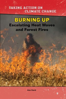 Cover image for Burning Up