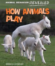 How animals play cover image