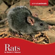 Rats cover image