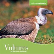 Vultures cover image