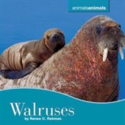 Walruses cover image
