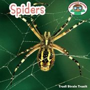 Spiders cover image