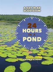 24 Hours in a Pond cover image