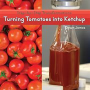 Turning tomatoes into ketchup cover image
