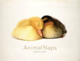 Cover image for Animal Naps