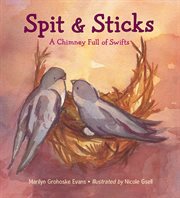 Spit & sticks: a chimney full of swifts cover image