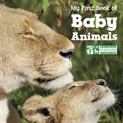 My first book of baby animals cover image