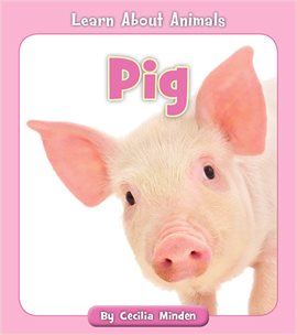 Cover image for Pig
