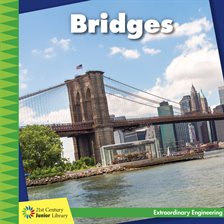 Cover image for Bridges