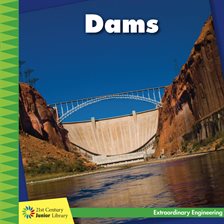 Cover image for Dams