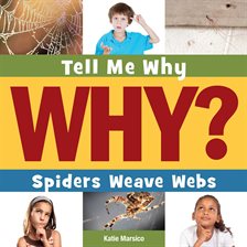 Cover image for Spiders Weave Webs