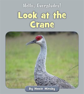 Cover image for Look at the Crane