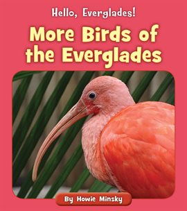 Cover image for More Birds of the Everglades