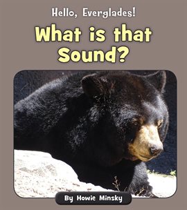 Cover image for What is that Sound?