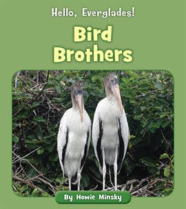 Cover image for Bird Brothers