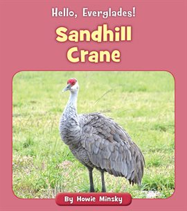 Cover image for Sandhill Crane