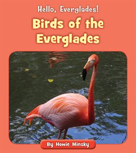 Cover image for Birds of the Everglades