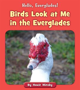 Cover image for Birds Look at Me in the Everglades