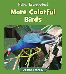 Cover image for More Colorful Birds