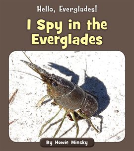 Cover image for I Spy in the Everglades