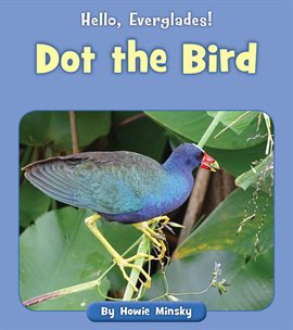 Cover image for Dot the Bird