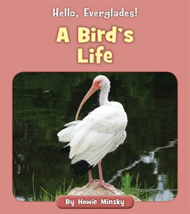 Cover image for A Bird's Life