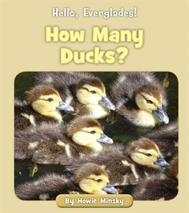 Cover image for How Many Ducks?