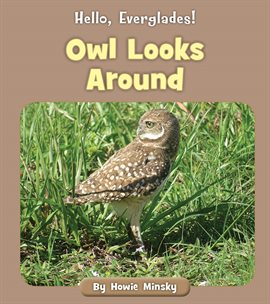 Cover image for Owl Looks Around