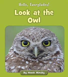 Cover image for Look at the Owl
