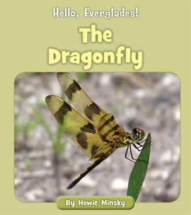 Cover image for The Dragonfly
