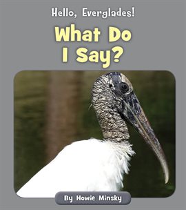 Cover image for What Do I Say?