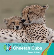 Cheetah cubs cover image