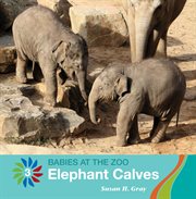 Elephant calves cover image