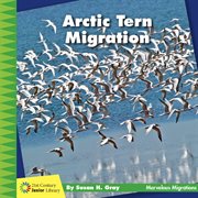 Arctic Tern Migration cover image