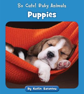 Cover image for Puppies