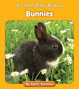Cover image for Bunnies